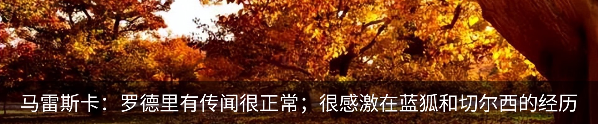 行业资讯